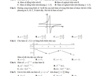 Đề thi học kì 1 Toán 12 năm 2019 2020 trường Diên Hồng TP HCM