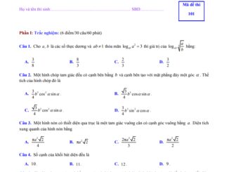 Đề thi học kì 1 Toán 12 năm 2019 2020 trường THPT Nguyễn Du TP HCM