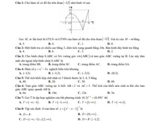 Đề thi học kì 1 Toán 12 năm 2019 2020 trường THPT Vĩnh Viễn TP HCM