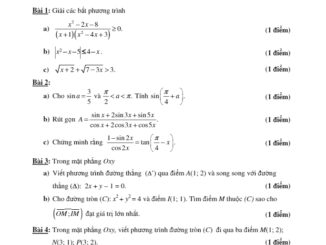 Đề thi học kì 2 Toán 10 năm 2018 2019 trường Nguyễn Thị Minh Khai TP HCM