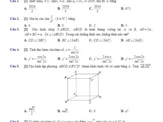 Đề thi học kì 2 Toán 11 năm 2018 2019 trường Đoàn Thượng Hải Dương