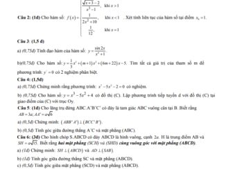 Đề thi học kì 2 Toán 11 năm 2019 2020 trường THPT An Dương Vương TP HCM