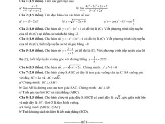 Đề thi học kì 2 Toán 11 năm 2019 2020 trường THPT An Nghĩa TP HCM