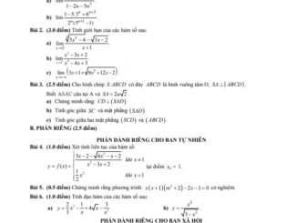 Đề thi học kì 2 Toán 11 năm 2019 2020 trường THPT Lê Trọng Tấn TP HCM