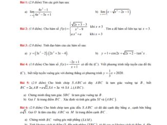 Đề thi học kì 2 Toán 11 năm 2019 2020 trường THPT Nguyễn Du TP HCM