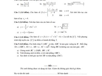 Đề thi học kì 2 Toán 11 năm 2019 2020 trường THPT Thanh Đa TP HCM