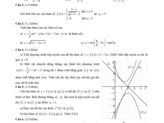 Đề thi học kì 2 Toán 11 năm 2019 2020 trường THPT Thủ Đức TP HCM