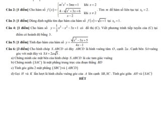 Đề thi học kì 2 Toán 11 năm 2019 2020 trường THPT Trần Khai Nguyên TP HCM