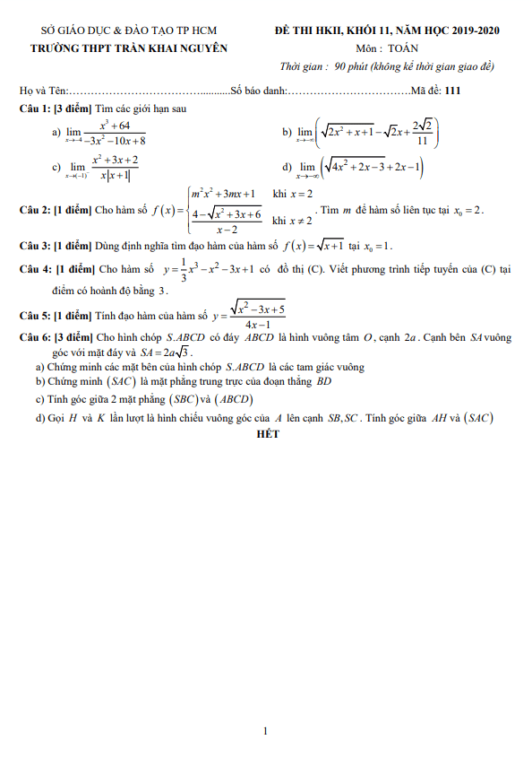 Đề thi học kì 2 Toán 11 năm 2019 2020 trường THPT Trần Khai Nguyên TP HCM