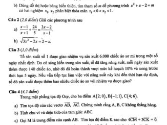 Đề thi học kỳ 1 Toán 10 năm 2019 2020 trường Trần Hưng Đạo Hà Nội