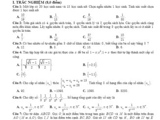 Đề thi học kỳ 1 Toán 11 năm 2019 2020 trường THPT chuyên Tiền Giang
