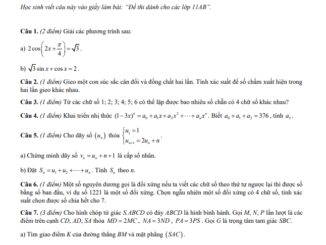 Đề thi học kỳ 1 Toán 11 năm 2020 2021 trường chuyên Lê Hồng Phong TP HCM