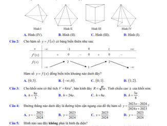 Đề thi học kỳ 1 Toán 12 năm 2023 2024 sở GD&ĐT Nam Định