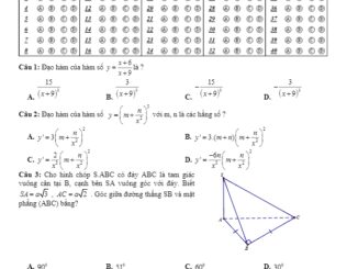 Đề thi học kỳ 2 Toán 11 năm 2018 – 2019 trường Thống Nhất A – Đồng Nai
