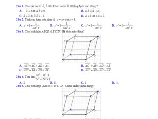 Đề thi học kỳ 2 Toán 11 năm 2019 2020 trường THPT chuyên Hạ Long Quảng Ninh