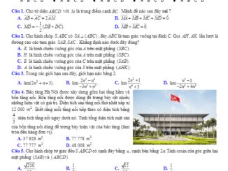 Đề thi học kỳ 2 Toán 11 năm học 2019 2020 trường THPT Kim Liên Hà Nội