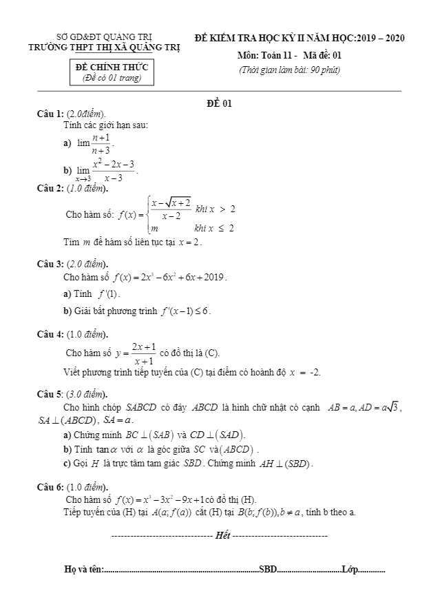Đề thi học kỳ 2 Toán 11 năm học 2019 2020 trường THPT thị xã Quảng Trị