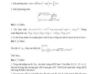 Đề thi học sinh giỏi cấp tỉnh Toán 11 năm 2019 2020 sở GD&ĐT Bình Định