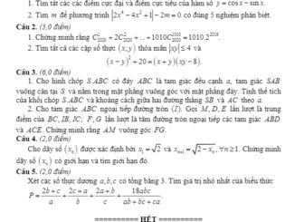 Đề thi học sinh giỏi Toán 12 năm 2020 2021 sở GD&ĐT Quảng Trị