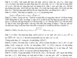 Đề thi HSG Toán 12 lần 2 năm 2019 2020 trường THPT Đồng Đậu Vĩnh Phúc