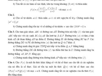 Đề thi HSG Toán 12 THPT chuyên năm học 2019 2020 sở GD&ĐT Vĩnh Phúc