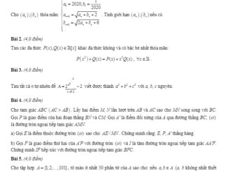 Đề thi HSG Toán 12 (vòng 2) năm 2020 2021 trường chuyên Nguyễn Du Đắk Lắk