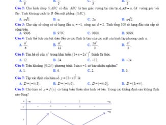 Đề thi KSCĐ Toán 12 lần 1 năm 2019 2020 trường Ngô Gia Tự Vĩnh Phúc