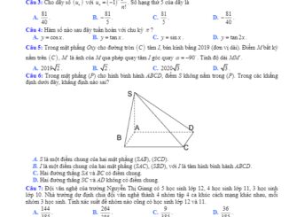 Đề thi KSCL Toán 11 lần 1 năm 2019 2020 trường Nguyễn Thị Giang Vĩnh Phúc