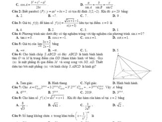 Đề thi thử Toán 11 THPTQG 2019 lần 3 trường Ngô Sĩ Liên Bắc Giang