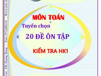 Tuyển chọn 20 đề trắc nghiệm ôn thi HK1 Toán 12 năm học 2020 2021