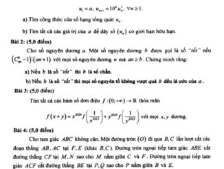 Đề chọn HSG tỉnh thi HSG QG môn Toán năm 2023 2024 sở GD&ĐT Quảng Ngãi