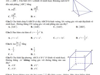 Đề cuối kỳ 2 Toán 11 năm 2022 2023 trường THPT Phan Ngọc Hiển Cà Mau