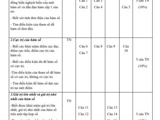 Đề cương giữa kỳ 1 Toán 12 năm 2023 2024 trường Bùi Thị Xuân Lâm Đồng