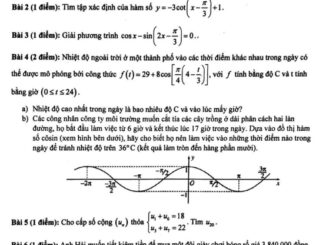 Đề giữa HKI Toán 11 năm 2023 2024 trường THPT Trần Hưng Đạo TP HCM