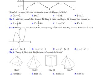 Đề giữa học kì 1 Toán 12 năm 2023 2024 trường THPT Lê Hồng Phong Quảng Nam