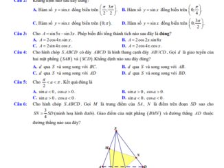 Đề giữa học kỳ 1 Toán 11 năm 2023 2024 trường THPT Ninh Giang Hải Dương