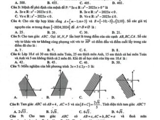 Đề giữa kì 1 Toán 10 năm 2023 2024 trường THPT Thường Tín Hà Nội