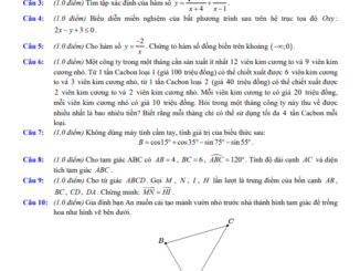 Đề giữa kì 1 Toán 10 năm 2023 2024 trường THPT Võ Trường Toản TP HCM