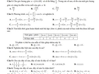 Đề giữa kì 1 Toán 11 năm 2023 2024 trường THPT Ngô Mây Bình Định