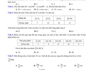 Đề giữa kì 1 Toán 11 năm 2023 2024 trường THPT Nguyễn Trân Bình Định