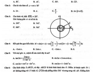 Đề giữa kì 1 Toán 11 năm 2023 2024 trường THPT Thường Tín Hà Nội