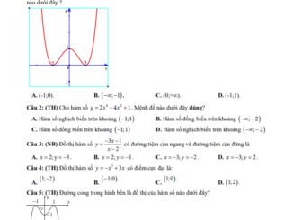 Đề giữa kì 1 Toán 12 năm 2023 2024 trường THPT Kim Liên Nghệ An