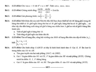 Đề giữa kỳ 1 Toán 11 năm 2023 2024 trường THPT Bùi Thị Xuân TP HCM