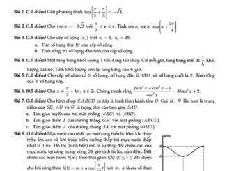 Đề giữa kỳ 1 Toán 11 năm 2023 2024 trường THPT Tây Thạnh TP HCM