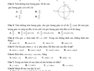 Đề giữa kỳ 1 Toán 11 năm 2023 2024 trường THPT Trần Hưng Đạo Hải Phòng