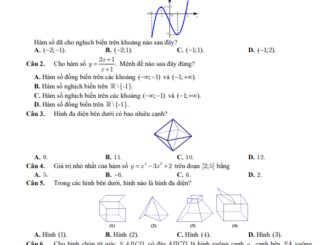 Đề giữa kỳ 1 Toán 12 năm 2022 2023 trường THPT Phan Văn Trị Cần Thơ