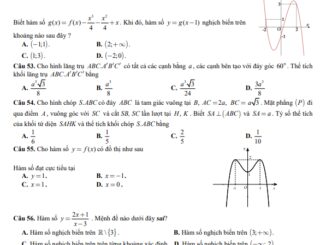 Đề giữa kỳ 1 Toán 12 năm 2023 2024 trường THPT Việt Nam Ba Lan Hà Nội