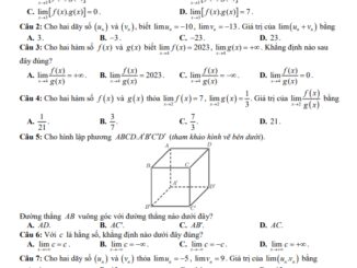 Đề giữa kỳ 2 Toán 11 năm 2022 2023 trường THPT Nguyễn Trung Trực Kiên Giang