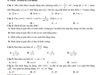 Đề học kỳ 2 Toán 11 năm 2022 2023 trường THPT Lương Thế Vinh Quảng Nam