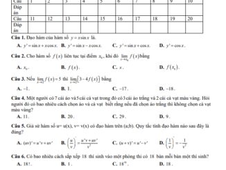 Đề học kỳ 2 Toán 11 năm 2022 2023 trường THPT Nguyễn Huệ Nam Định
